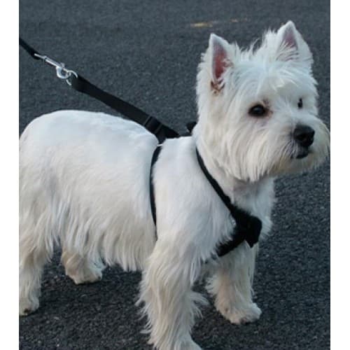 kumfi stop pull dog harness