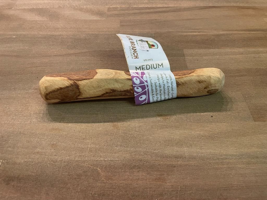 Olive Branch Medium K9 Kennels