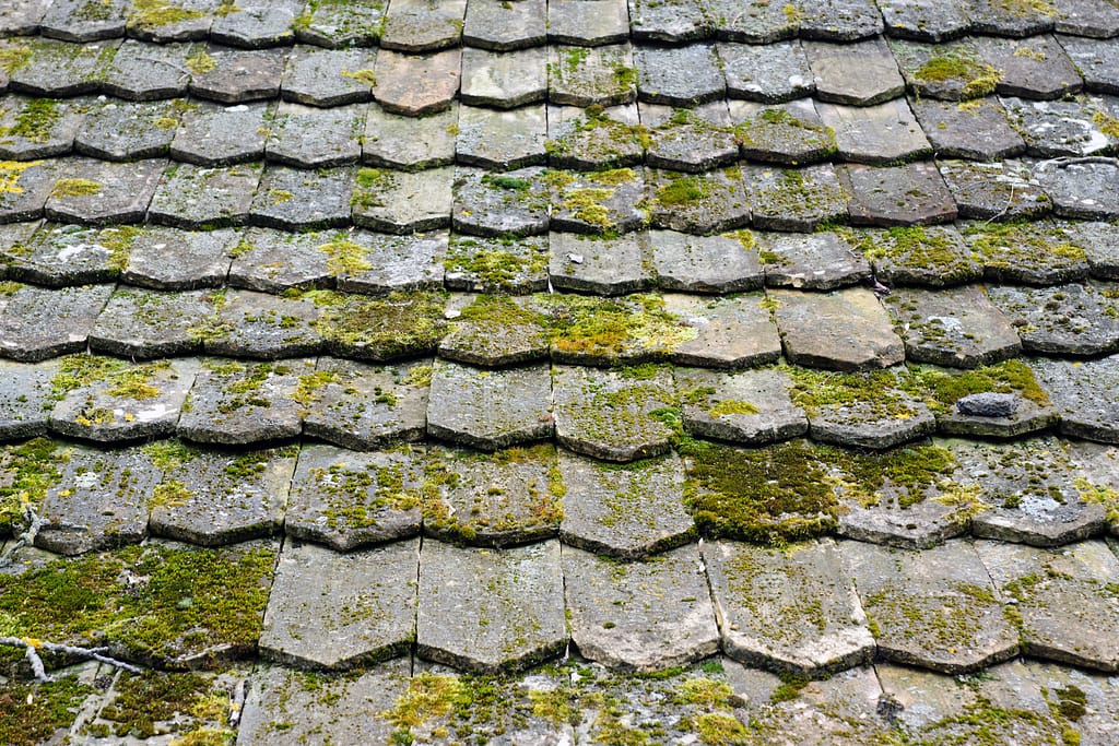 Efficient Strategies for Moss Removal in London's Properties 1 Efficient Strategies for Moss Removal in London's Properties old worn shingles 2026 01 08 06 50 15 utc