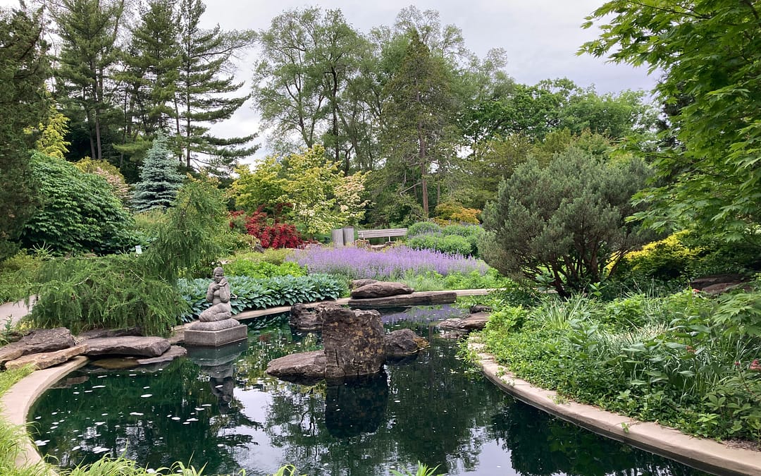 The Benefits of a Natural Pond in Your Garden