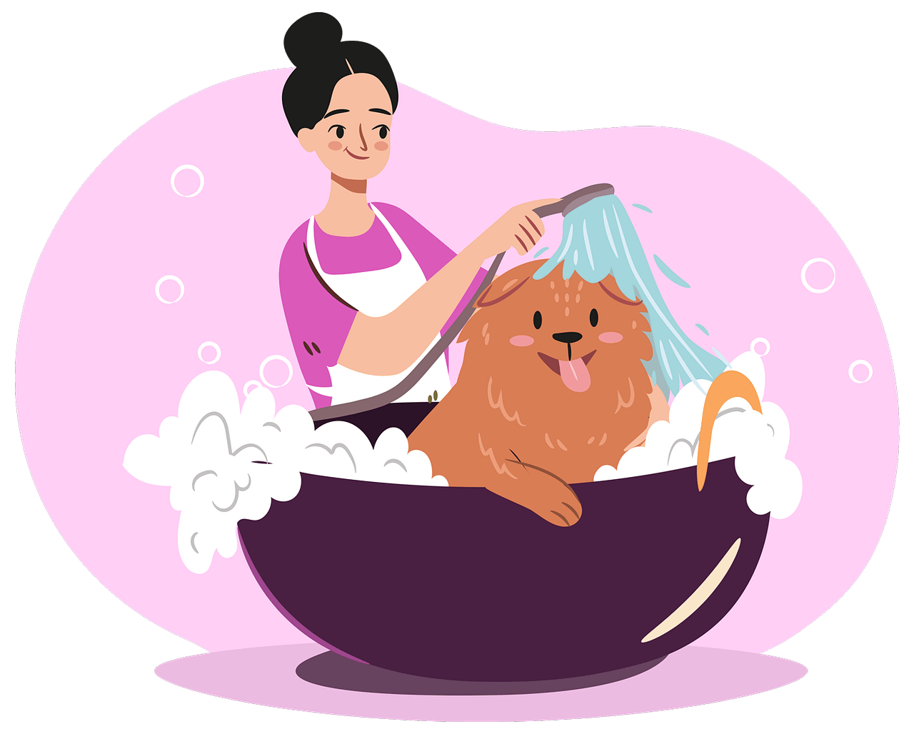 dog groomer in Newton Aycliffe Home Laurie's Dog Grooming
