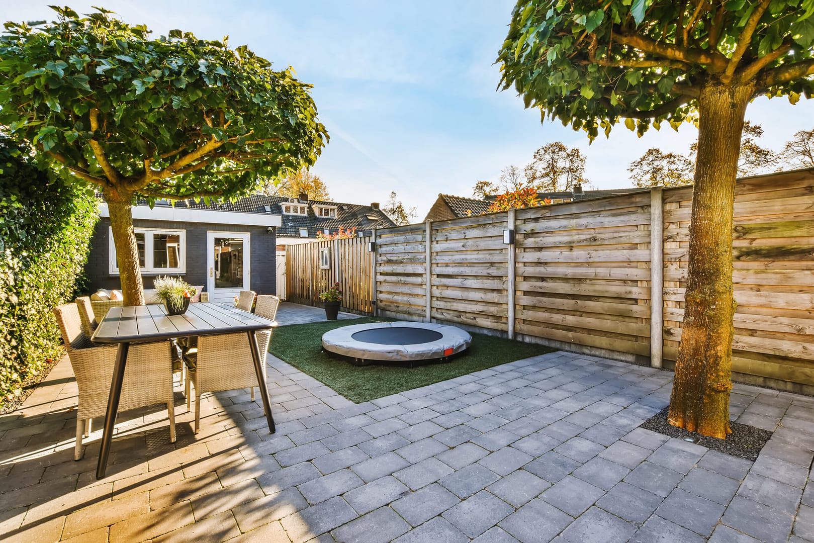 The courtyard with well-groomed trees of a beautiful shape