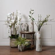 Large 5ft White Orchid In Antique Stone Pot 22641 csml