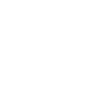 Home scaffolding icon 2