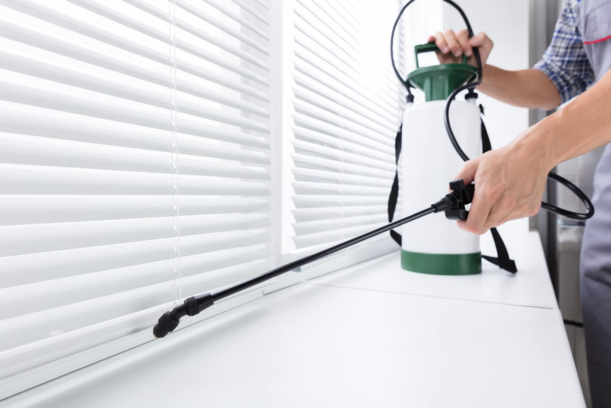Expert Fumigation Solutions for Leeds Properties - DSK Pest Control