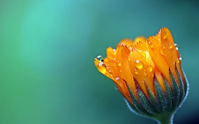Blog 13 Transform Your Outdoor Space with Expert Landscaping in Cheshire