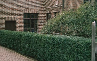 Blog 18 Enhance Your Home with Premium Turfing Services in Cheshire