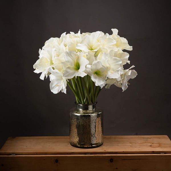 Classic White Amaryllis Flower 17624