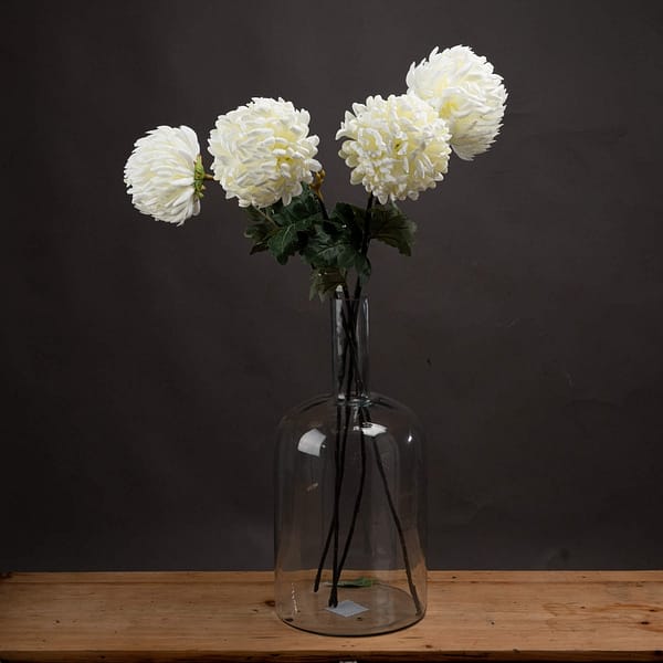 Large White Chrysanthemum 18964