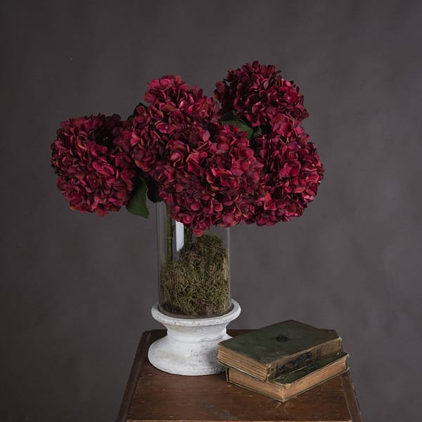 Autumn Ruby Hydrangea 19067