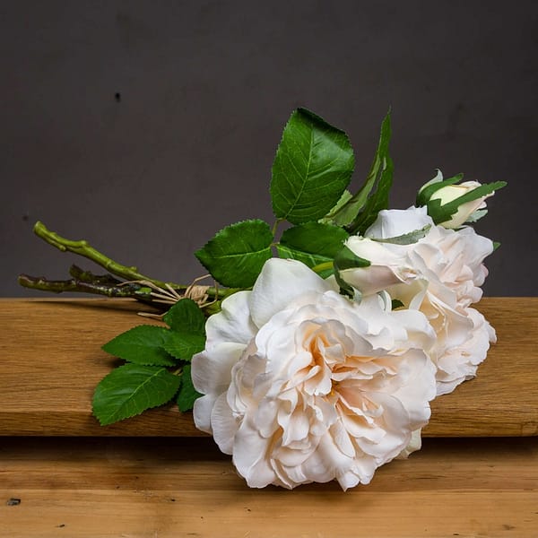 Peachy Cream Short Stem Rose Bouquet 20126