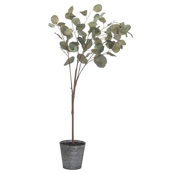 Eucalyptus Tree In Metallic Pot 21025