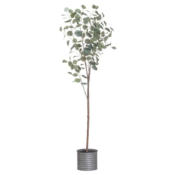 Large Eucalyptus Tree In Metallic Pot 21026