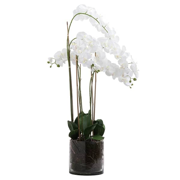 Large White Tall Orchid In Glass Pot 21228