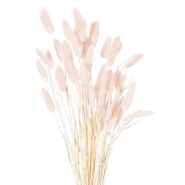 Dried Pale Pink Bunny Tail Bunch Of 40 21691