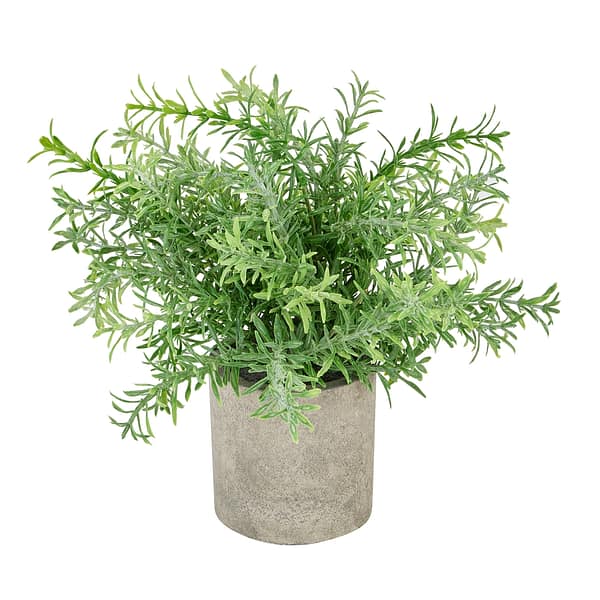 Rosemary Plant In Stone Effect Pot 22097