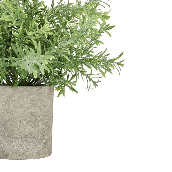 Rosemary Plant In Stone Effect Pot 22097 a