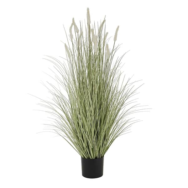 Large Bunny Tail Grass 22617