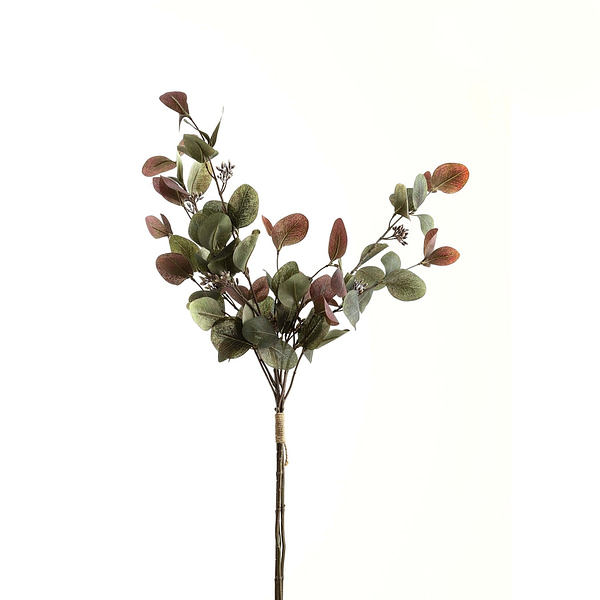 Variegated Eucalyptus Bouquet 22191 a