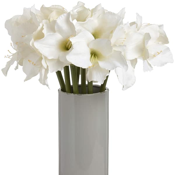 Classic White Amaryllis Flower 17624 b