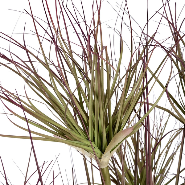 Water Bamboo Grass 48 Inch 18986 a