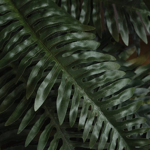 Fern Bunch 19003 b 1