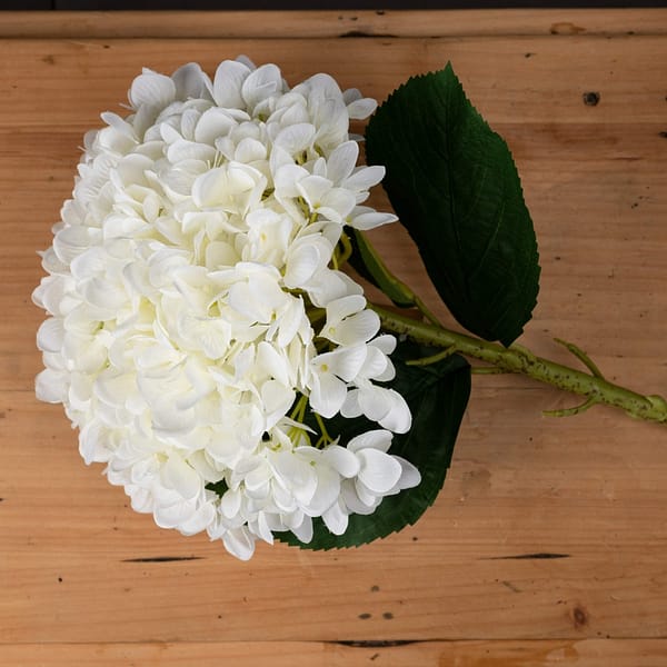 Oversized White Hydrangea 19059 a