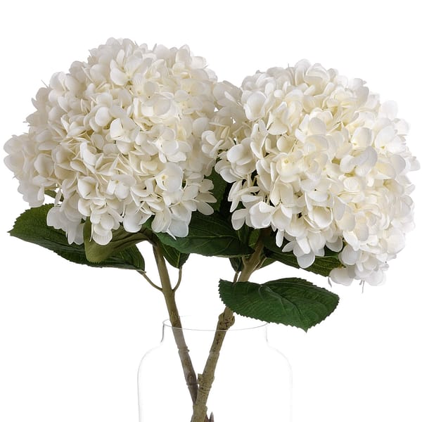 Oversized White Hydrangea 19059 b