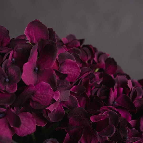 Purple Hydrangea Bouquet 19063 b