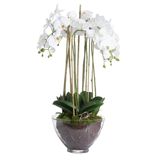 Large White Orchid In Glass Pot - Image 2