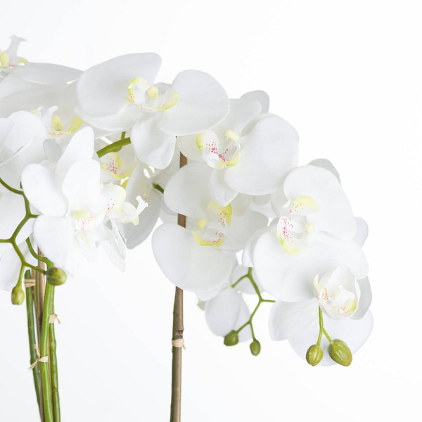 Large White Orchid In Stone Pot 19960 b 3