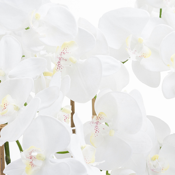 Large White Tall Orchid In Glass Pot 21228 a