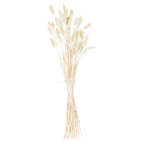 Dried Natural Bunny Tail Bunch Of 40 21692 a