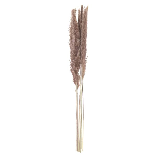 Mini Natural Pampas Grass Bunch of 15 21704 a