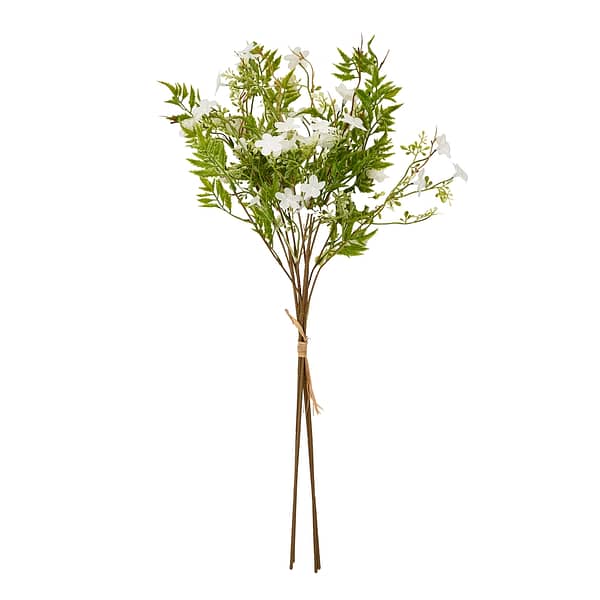 Italian White Bellflower 22616 a