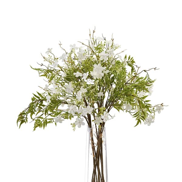 Italian White Bellflower 22616 d