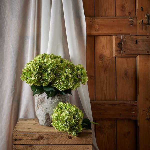 Green Hydrangea Bunch 22620 b