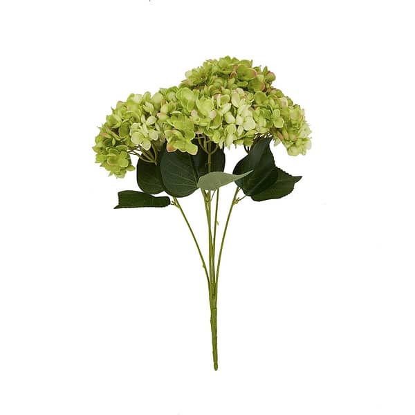 Green Hydrangea Bunch 22620 c