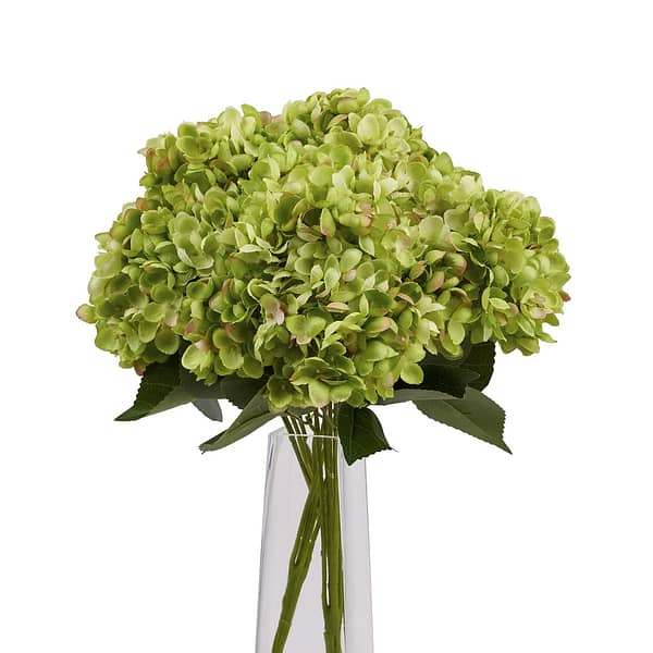 Green Hydrangea Bunch 22620 d