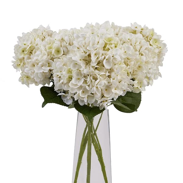 White Hydrangea Bunch 22621 d