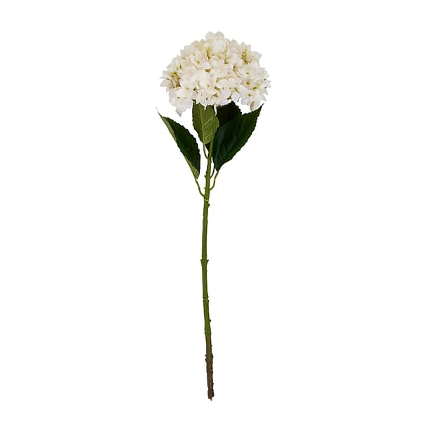 White Hydrangea Stem 22632 a