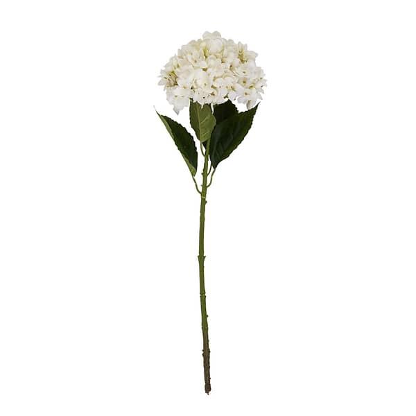 White Hydrangea Stem 22632 c