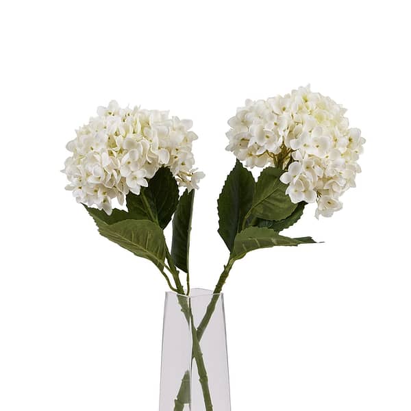 White Hydrangea Stem 22632 d