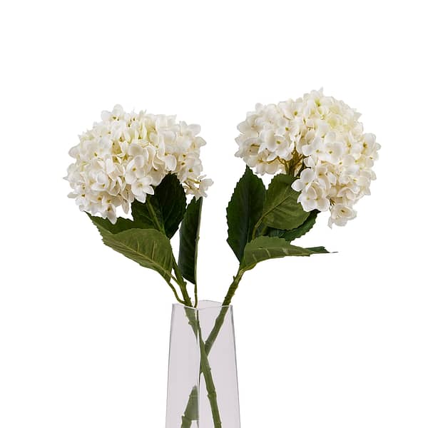 White Hydrangea Stem 22632