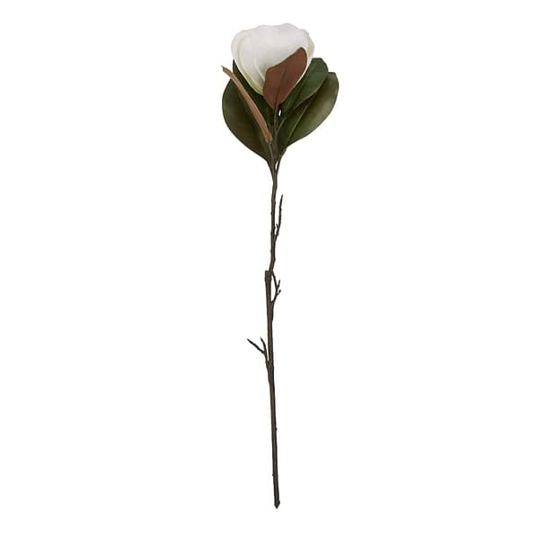 White Magnolia Stem 22640 c