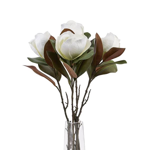 White Magnolia Stem 22640 d