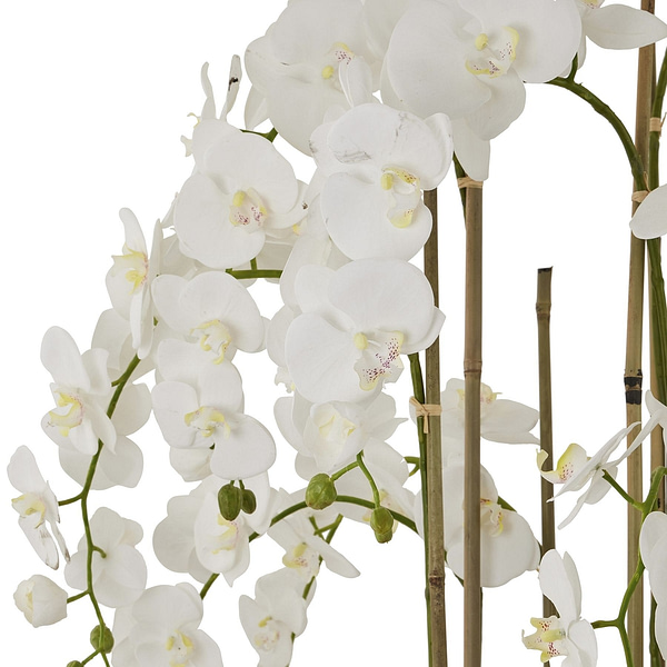 Large 5ft White Orchid In Antique Stone Pot 22641 a