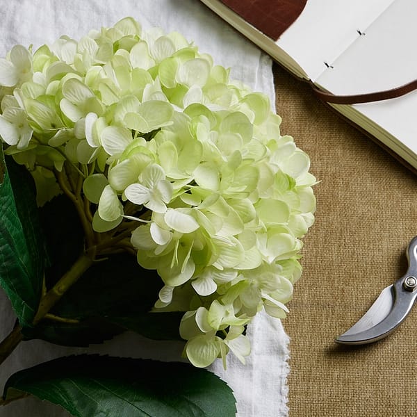 Oversized Green Hydrangea 22730 a