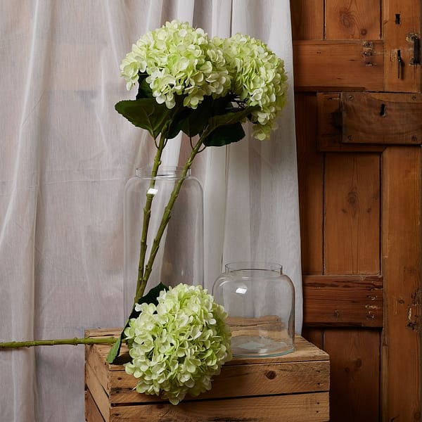 Oversized Green Hydrangea 22730 b