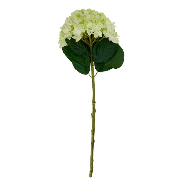 Oversized Green Hydrangea 22730 c